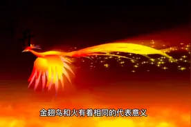 周公解梦之梦见喜鹊视频封面