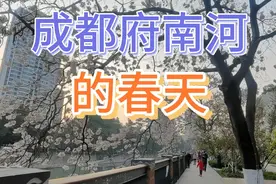 成都府南河的春日美景！！！视频封面