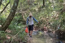 广东老板出价80元一斤，大量收购这种山螃蟹，看看今天能抓多少视频封面