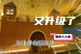 史上最豪华的猫城堡，堪称喵界的紫禁城