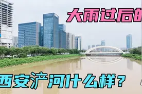 大雨过后！西安浐河什么样？带大家看看视频封面