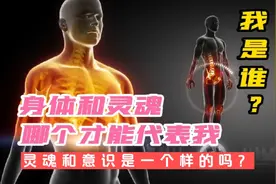 身体和灵魂哪个才能代表我，我究竟是谁？灵魂和意识是一样的吗