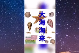 2022305期三D图谜视频封面