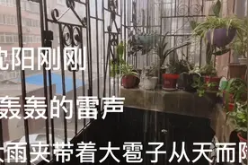 6月5号晚5:40，沈阳今年第一场大雨伴着轰轰的雷声，雹子从天而降视频封面