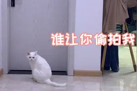 见证奇迹的时刻到了！来看看棉花糖究竟是如何开门的