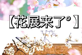 大多都免费！郑州这些花展靓爆了！放假就去赏花吧！视频封面