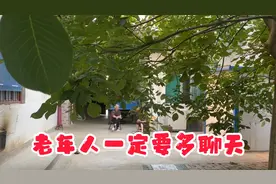 老年人一定要与中青年人多聊天视频封面