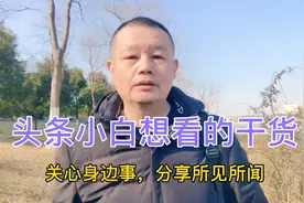 有的头条小白使用了某些影视剧的片段对原创有影响吗？大哥认为有视频封面