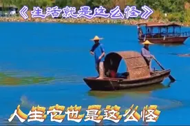 《生活就是这么怪》视频封面