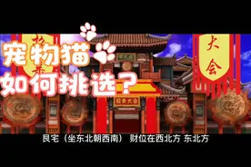家居风水布局视频封面