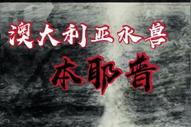 澳大利亚传说，狗头马尾的诡异生物。视频封面