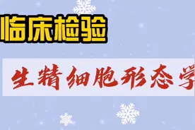 生精细胞形态学视频封面
