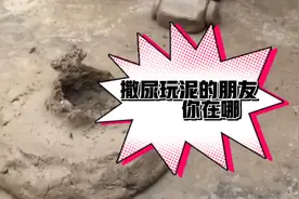 一起撒尿玩泥的你，还记得有哪些？视频封面