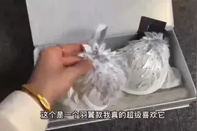 精致的做工肉眼可见，片片羽毛纯手工打造～羽翼款视频封面