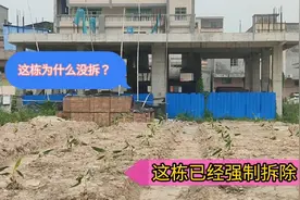 几栋相邻的居民楼，有的被强制拆除，有的为什么又能保留下来呢？视频封面