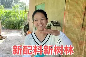 海燕换新树林抓土鳖，老公挖坑全身被咬都是包，学到抓土鳖新方法视频封面