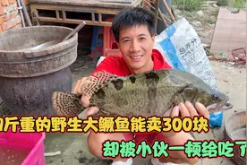 小伙钓了条4斤重的大鳜鱼，一顿就给蒸吃了，可把老父亲心疼坏了视频封面
