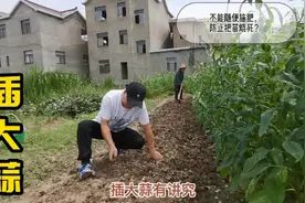 九月唤，插大蒜！别误了插蒜的时节，第一次知道翻地插蒜这么讲究视频封面