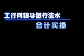 会计实操-工行网银导银行流水