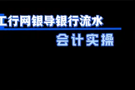 会计实操-工行网银导银行流水