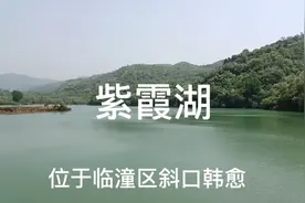 在临潼区有一个紫霞湖，沿凤凰大道开车不到半小时就到湖水碧绿视频封面