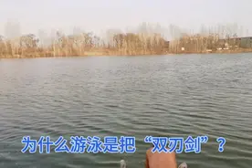 为什么游泳对于心脑血管疾病患者来说是把“双刃剑”？视频封面