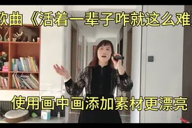 每个人活着都不容易，唱出了多少人的心声，添加素材更漂亮！视频封面