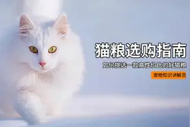 猫粮选购指南：教你如何通过猫粮外包装选购一款好猫粮
