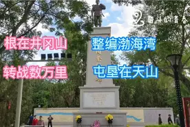 新疆解放纯人工开挖的十八团渠，王震将军和18团将士们创造了奇迹视频封面