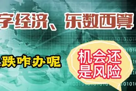 数字经济、东数西算大跌咋办呢？能抄底吗视频封面