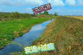 据说高邮野钓资源堪比兴化，一来就被这环境吸引，窝子鱼星翻翻的视频封面