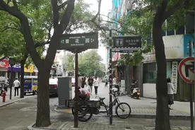 西安大街小巷之菊花园视频封面