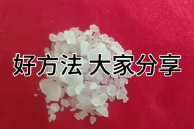 高血压不用怕，明矾枕头作用大！视频封面
