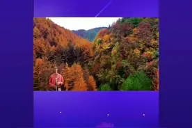《远方的客人请你留下来》陈仕琼演奏视频封面