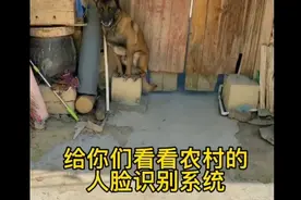 纯生物人脸识别系统，通不过会被物理性攻击！视频封面