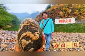 福建发现顶级画面石，一只神鸟凤凰，活脱脱的印在石头上视频封面