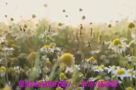 张帝、杨美莲《是谁抢走我的爱人》