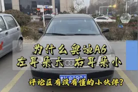 为什么 奥迪A6
左耳朵大  右耳朵小视频封面