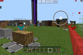 我的世界 ：我又随便进了一个服务器 ，我变透明了 ？Bug？？？