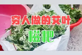 穷人做的湖南的艾叶糍粑？简单易学，吃的起的味道？