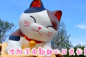 沈阳浑南万科新都心，位于营城子全运路，建有附属日式风格公园视频封面
