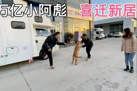 万亿和小阿彪喜迁新居，新的房车旅居生活即将开始，祝顺风顺水视频封面