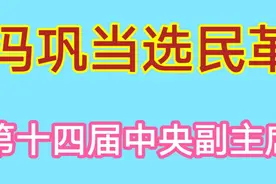 冯巩当选民革第十四届中央副主席视频封面