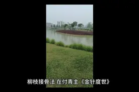 柳枝接骨法视频封面