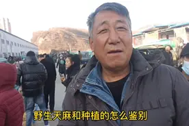 老刘讲天麻鉴别方法，9纹以下带鹰嘴野生天麻质量好，记住了吧视频封面