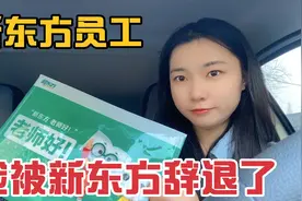 小禾受双减政策的影响，新东方辞退了6万名员工，我彻底失业了视频封面