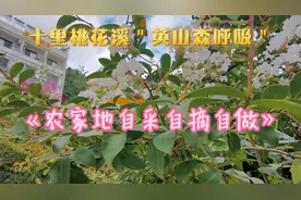 英山桃花溪农家山庄120元／天包吃住你看可以吗
