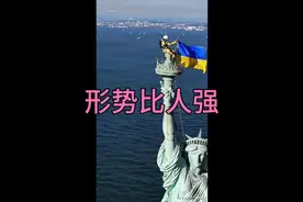 形势比人强视频封面