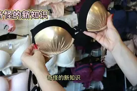 女士为什么带胸罩视频封面