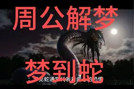 周公解梦-梦到蛇是什么征兆解说视频封面